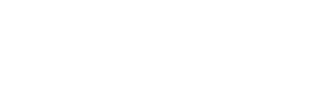 The Care Trust